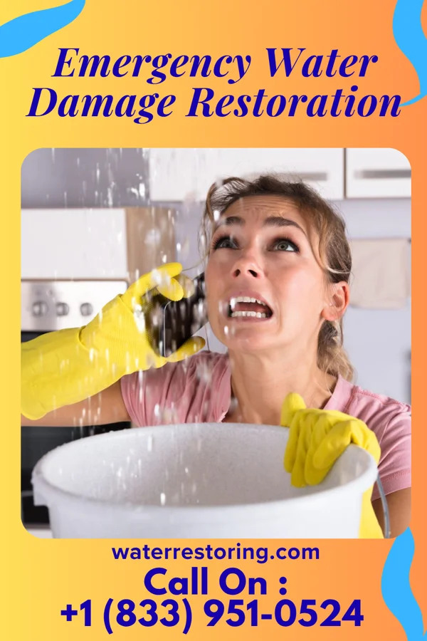 Emergency Water Damage Restoration in East Frankfort, NY