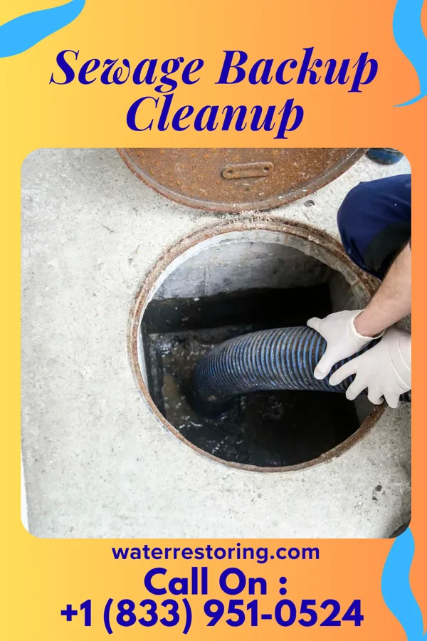 Sewage Backup Cleanup in East Frankfort, NY