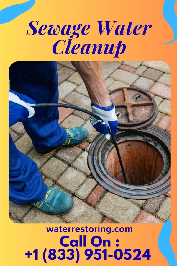 Sewage Water Cleanup in East Frankfort, NY