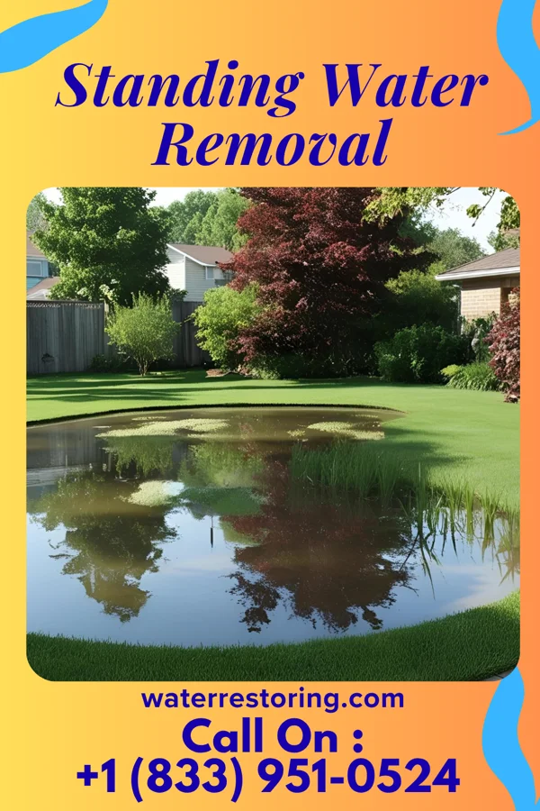 Standing Water Removal in East Frankfort, NY